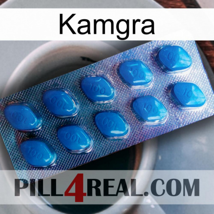 Kamgra viagra1
